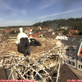 11_25-nest.jpg