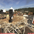 11_35-nest.jpg