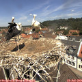 12_20-nest.jpg