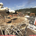 12_40-nest.jpg