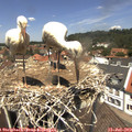 12_45-nest.jpg