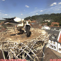 12_55-nest.jpg