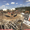 13_15-nest.jpg