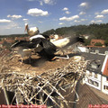 13_20-nest.jpg