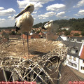 13_55-nest.jpg