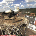 14_05-nest.jpg