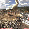 14_10-nest.jpg