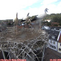 14_25-nest.jpg