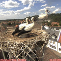 14_55-nest.jpg