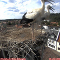 16_20-nest.jpg