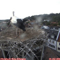 18_10-nest.jpg