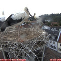 20_10-nest.jpg