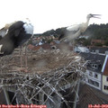 20_30-nest.jpg