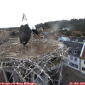 20_40-nest.jpg