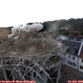 20_50-nest.jpg