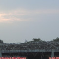 05_40-mast.jpg