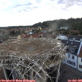 05_50-nest.jpg