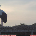 06_05-mast.jpg