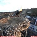 06_05-nest.jpg