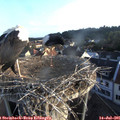 06_40-nest.jpg