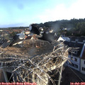 06_55-nest.jpg