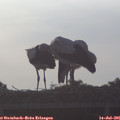 07_00-mast.jpg