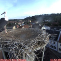 07_25-nest.jpg