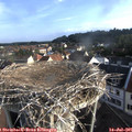 07_40-nest.jpg