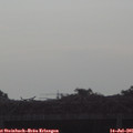 07_45-mast.jpg