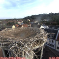 07_45-nest.jpg