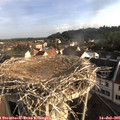 07_50-nest.jpg