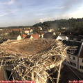 07_55-nest.jpg