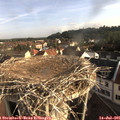 08_00-nest.jpg