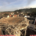08_10-nest.jpg