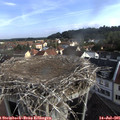 08_15-nest.jpg