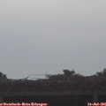 08_25-mast.jpg