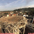 08_25-nest.jpg