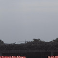 08_35-mast.jpg