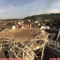 08_35-nest.jpg