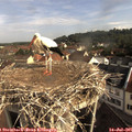 08_55-nest.jpg