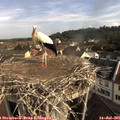 09_00-nest.jpg