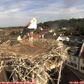 09_05-nest.jpg