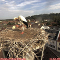 09_15-nest.jpg
