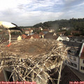 09_25-nest.jpg