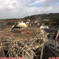 09_30-nest.jpg