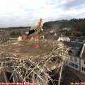 09_35-nest.jpg