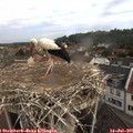 09_55-nest.jpg