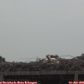 10_15-mast.jpg