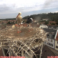 10_20-nest.jpg