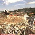 11_25-nest.jpg